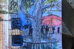 A tree on the esplanade at Disneyland