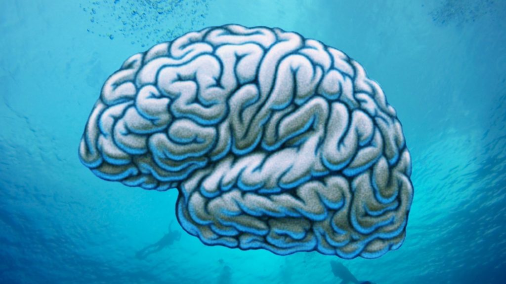 illustration of a brain underwater in the ocean