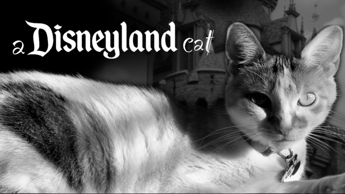 I Want to be a Disneyland Cat Sheet Music Now Available!
